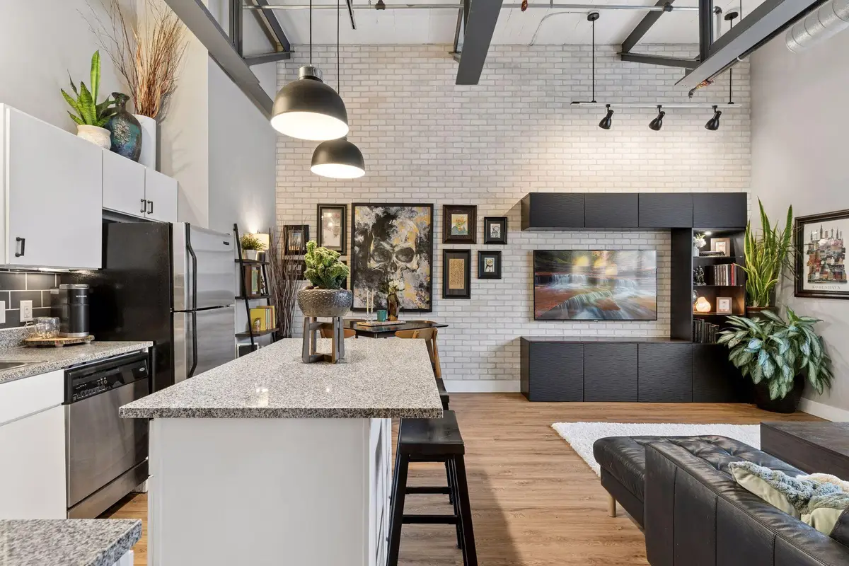 111 E Franklin Avenue #205, Minneapolis, MN 55404 - #1