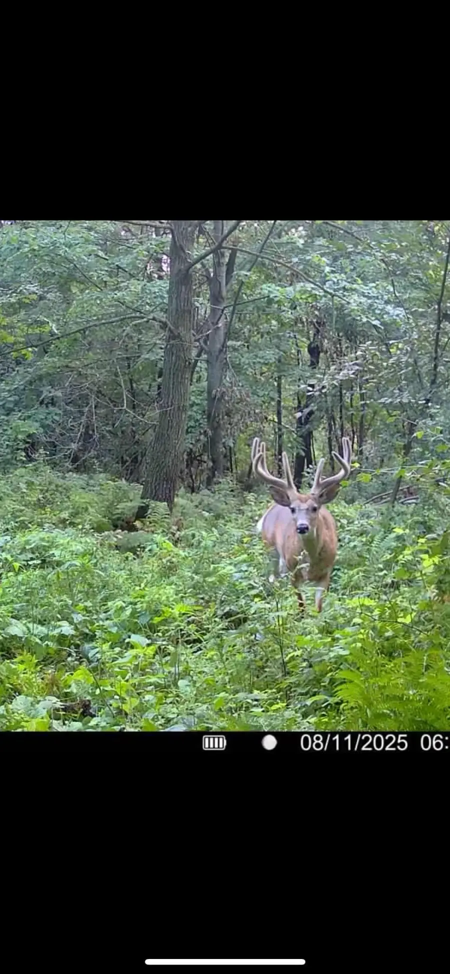 xxx Hwy. 52, Fountain, MN 55935 - #3