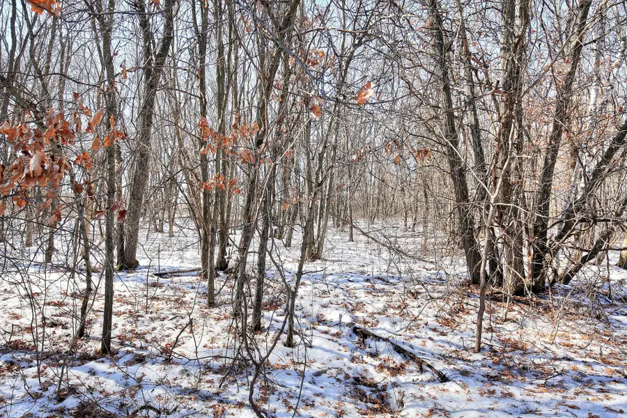 19062 Heather St Nw, Oak Grove, MN 55011 - #3