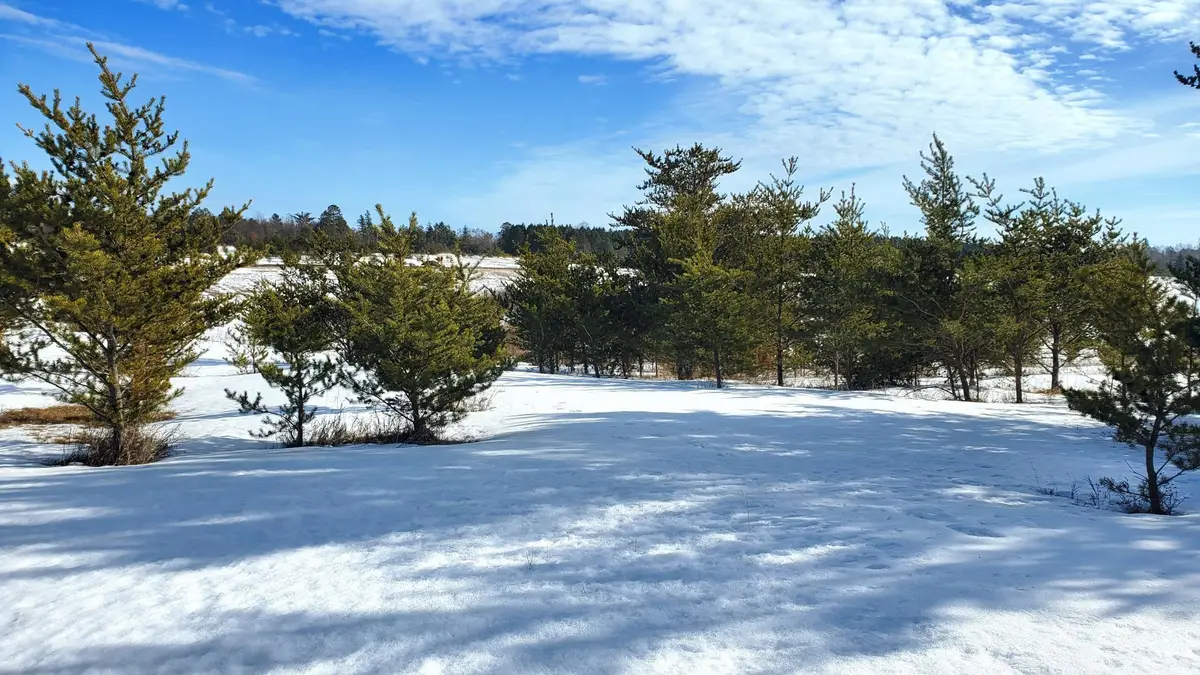 tbd Cattail Lane E, Bemidji, MN 56601 - #1