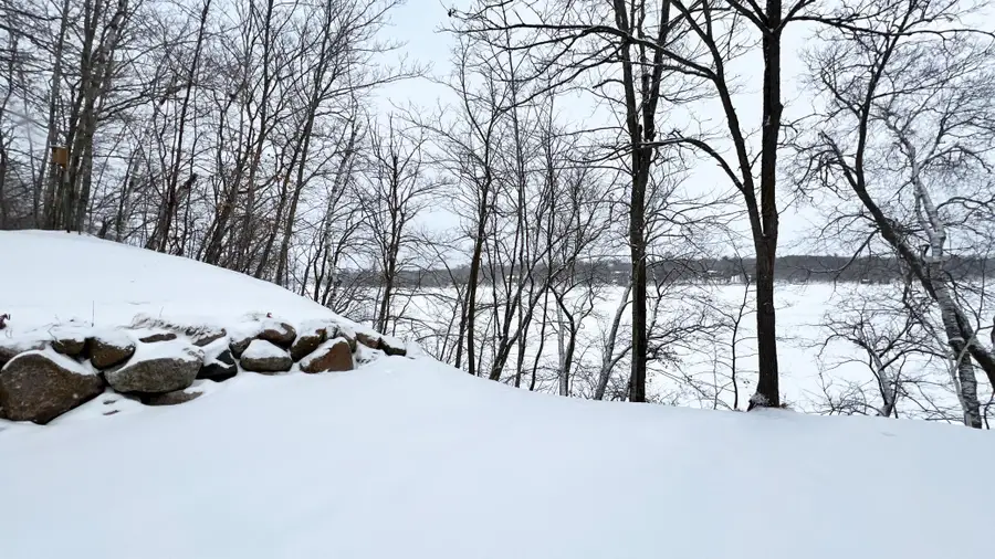 31598 SW Pickerel Lake Road, Detroit Lakes, MN 56501 - #3