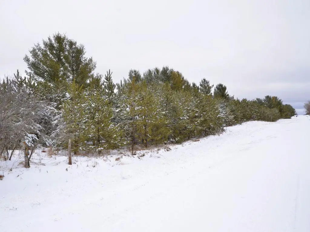 XXX 170th Street, Park Rapids, MN 56470 - #1