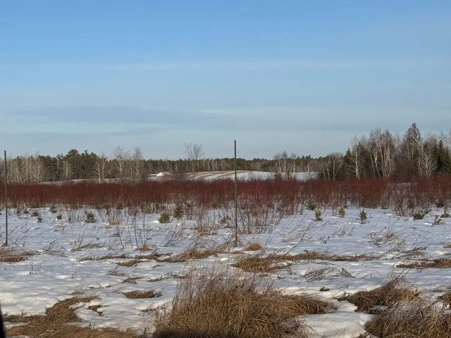TBD Scotch Pine Road, Finlayson, MN 55735 - #3