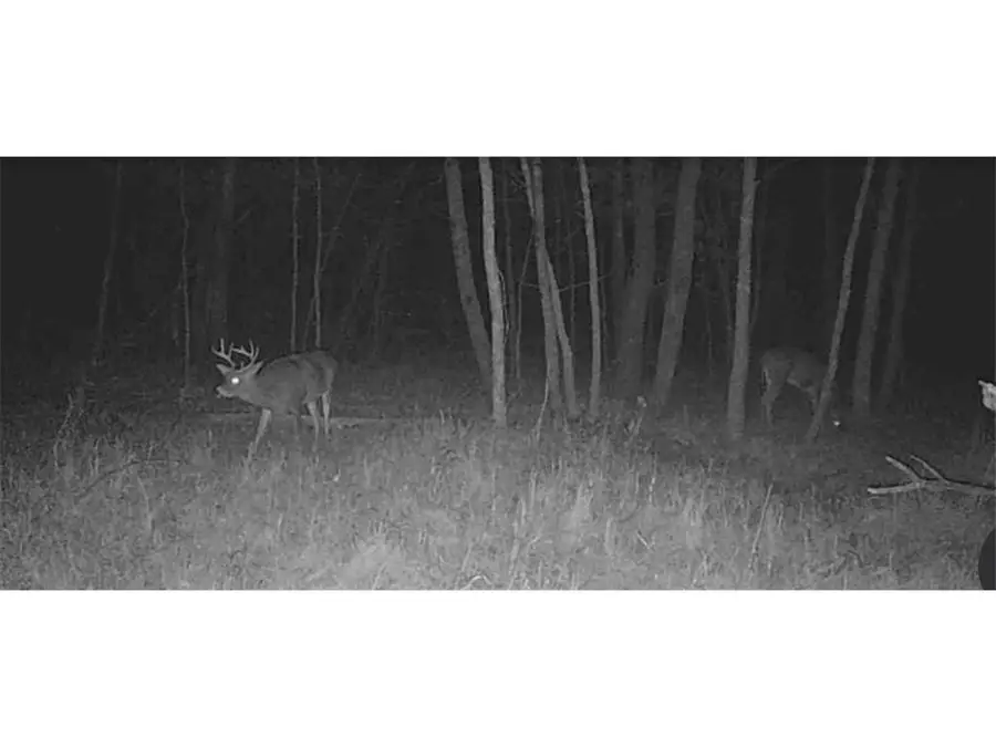 Lot 5 Butternut Road, Brainerd, MN 56401 - #2