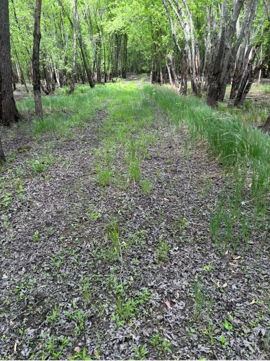 1995 Royal Heights Lane, Braham, MN 55006 - #2