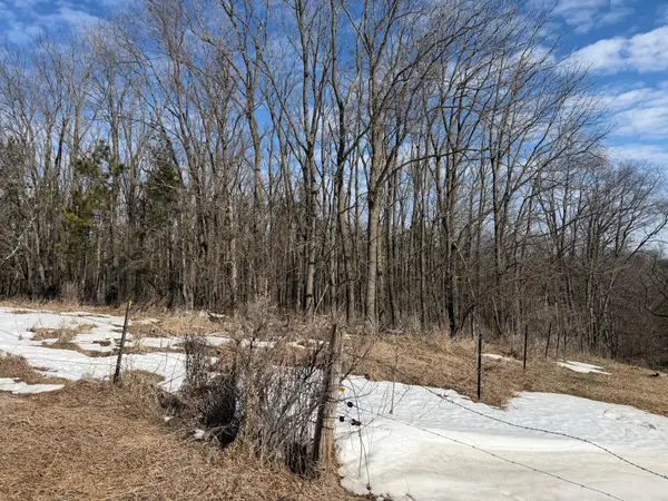 TBD Willow Drive, Hokah, MN 55941