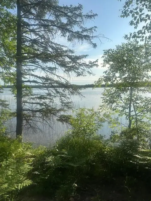 TBD Vandermeer Court Nw, Liberty, MN 56630 - #1