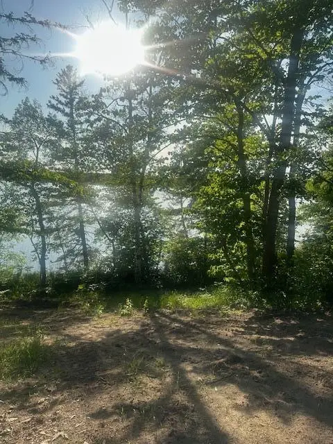 TBD Vandermeer Court Nw, Liberty, MN 56630 - #3