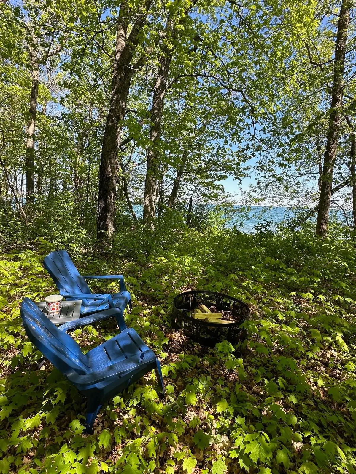 TBD Ottertail Point Drive Nw, Cass Lake, MN 56633 - #1