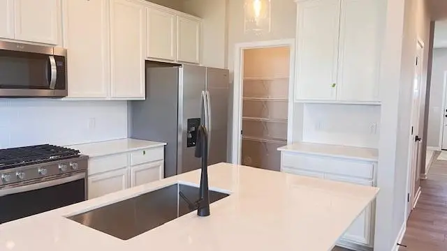 15031 Askeaton Place, Rosemount, MN 55068 - #3