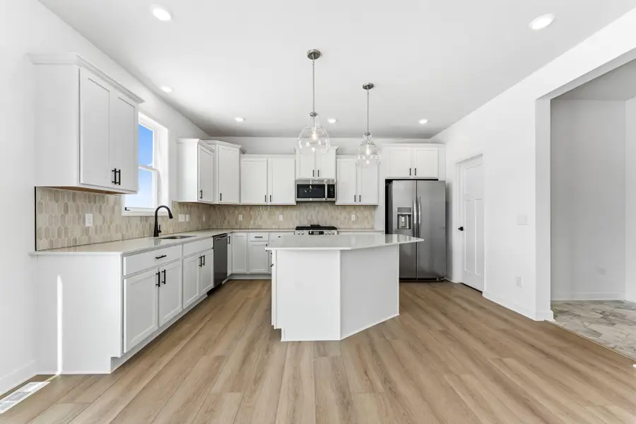 12091 Ivy Street, Rogers, MN 55374 - #3