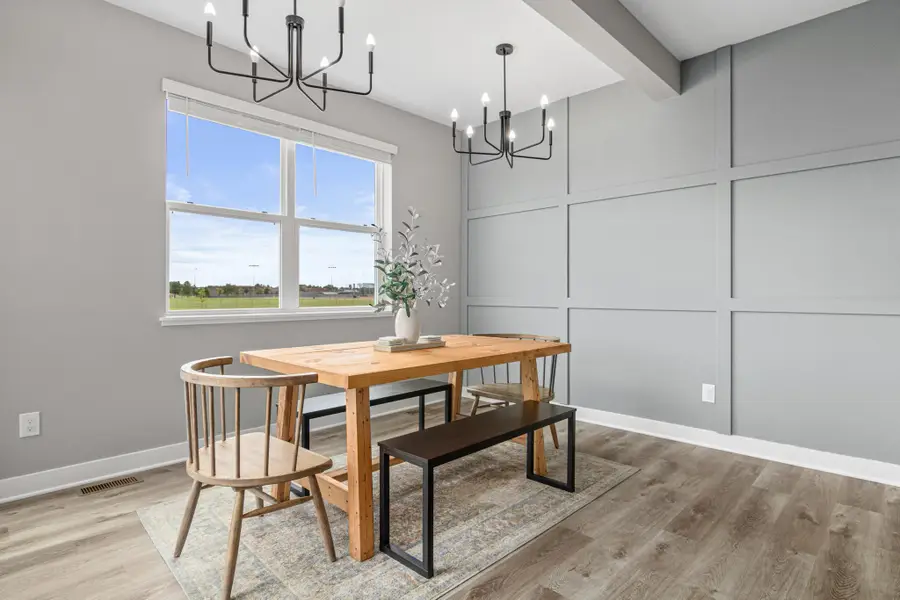 239 Snowdrop Trail, Waconia, MN 55387 - #2