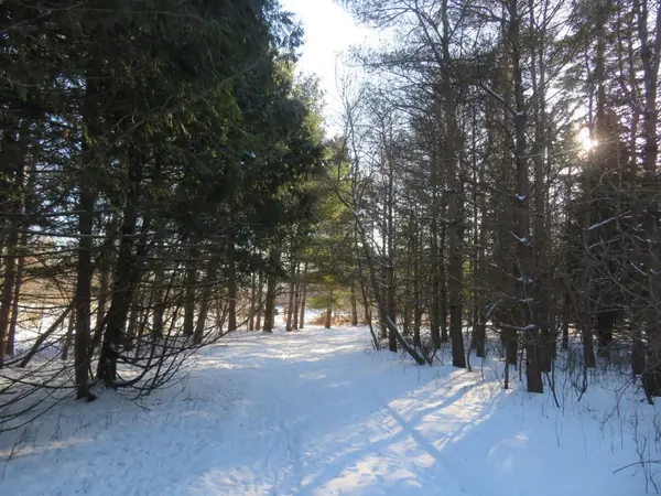 Lot 2 E Lincoln Ave, Amery, WI 54001