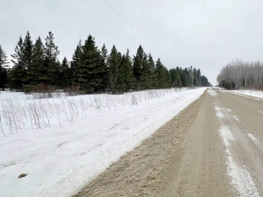 TBD County Road 31, Northome, MN 56661 - #3