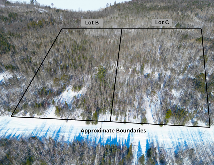 72XXX E Central Lakes Road Lot C, Eveleth, MN 55734 - #2