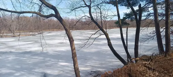 N4568 County Road N, Arkansaw, WI 54721