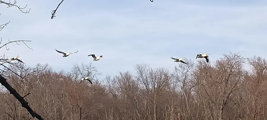 N4568 County Road N, Arkansaw, WI 54721 - #2