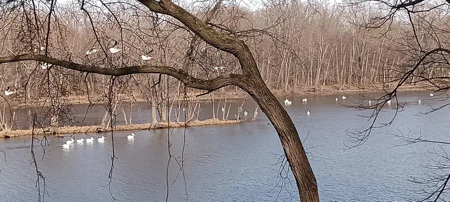 N4568 County Road N, Arkansaw, WI 54721 - #3