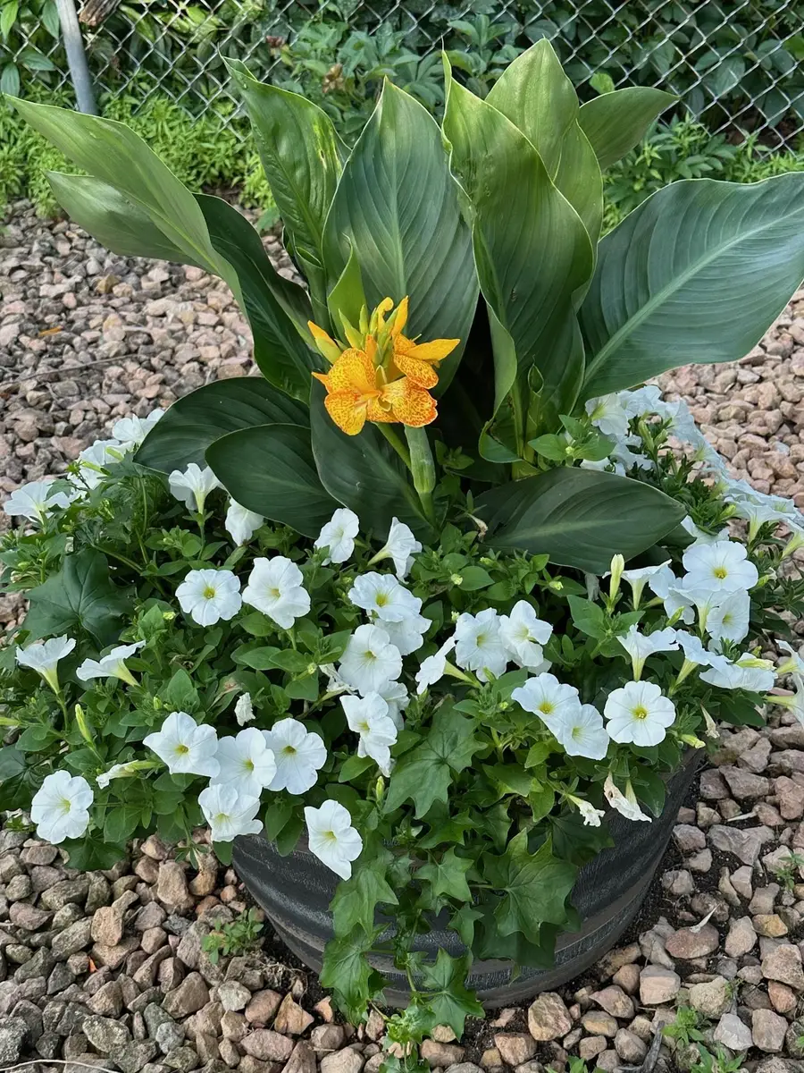 9717 Toledo Road, Bloomington, MN 55437 - #3