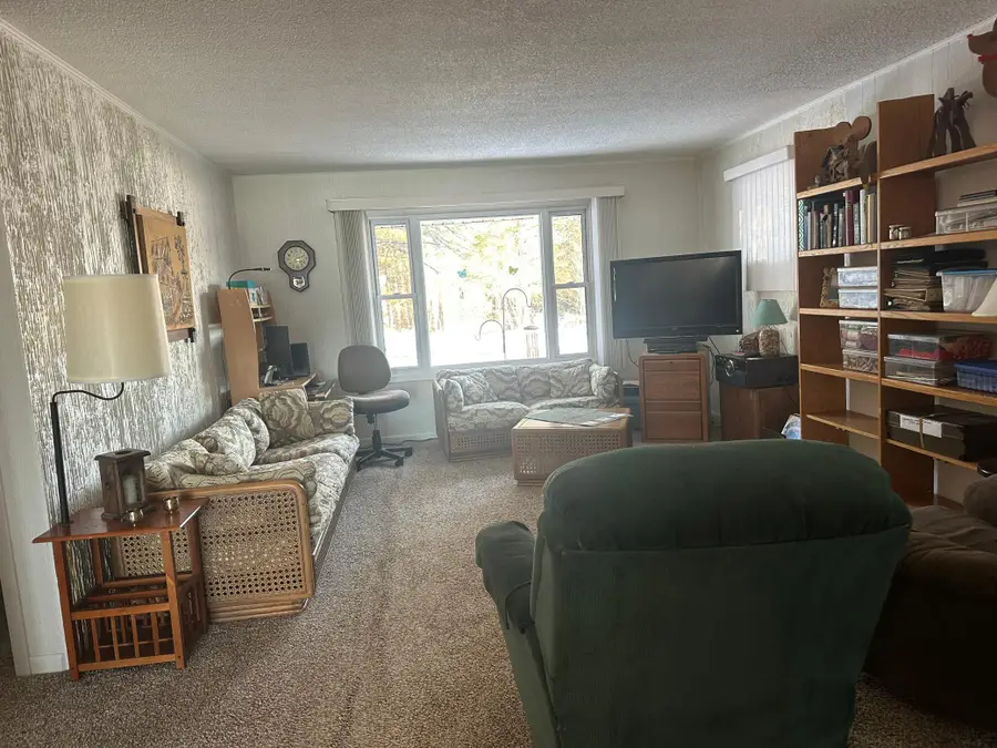 49306 Center Point Road, Bigfork, MN 56628 - #3