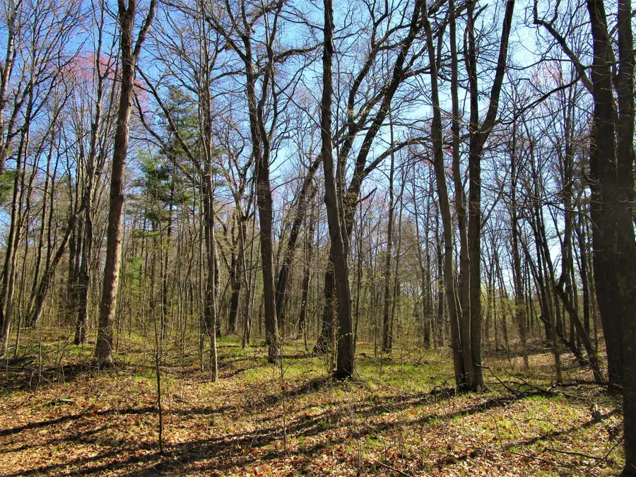 XX 120th Street, Frederic, WI 54837 - #3