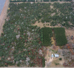 Lot 2 Kable Avenue, North Branch, MN 55056 - #3