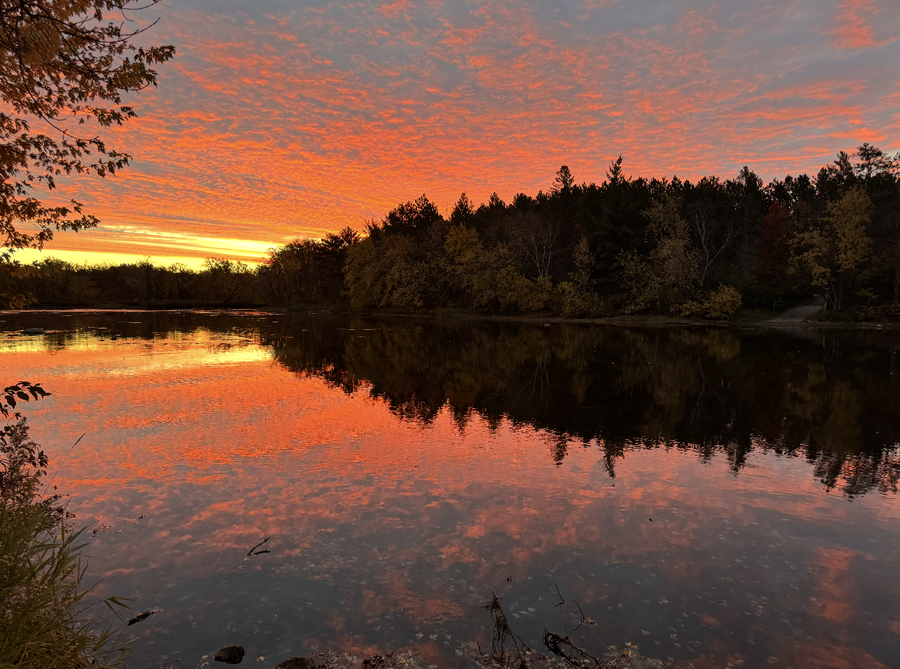 27125 132nd Street, Staples, MN 56479 - #2