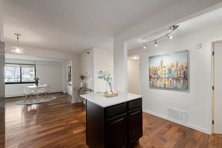 48 Groveland Terrace #B307, Minneapolis, MN 55403 - #3