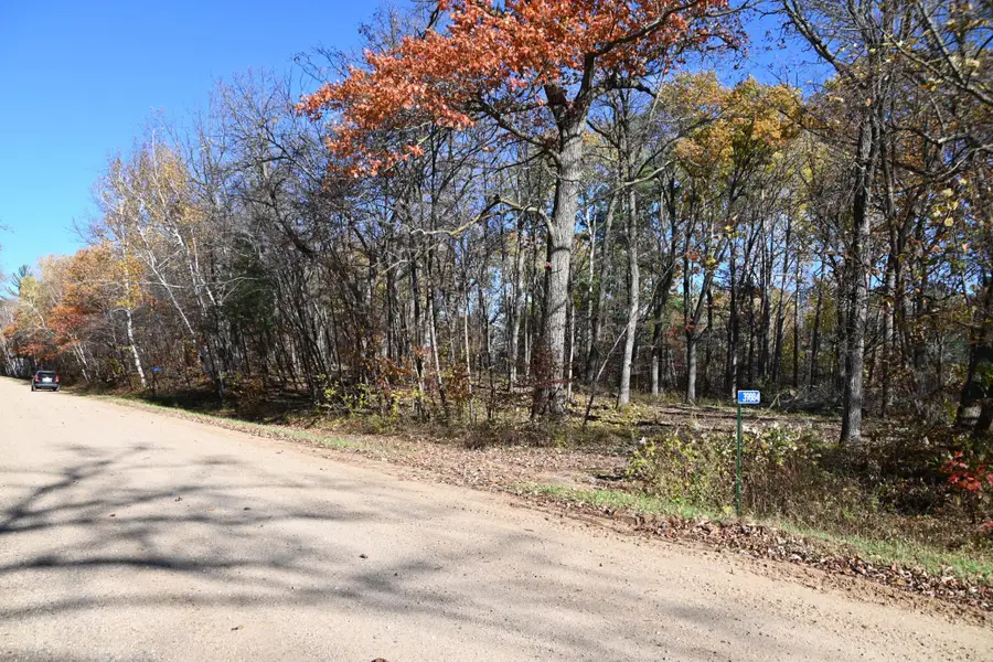 39884 Pine Island Pt Drive, Browerville, MN 56438 - #3