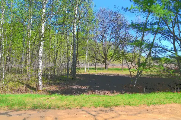 TBD Poplar Lane, Browerville, MN 56438