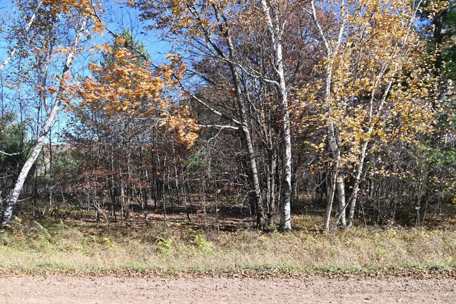 TBD Pacer Loop, Browerville, MN 56438 - #3