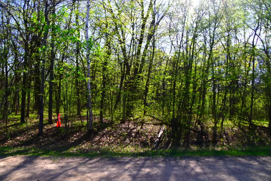 28329 Orchard Drive, Browerville, MN 56438 - #2