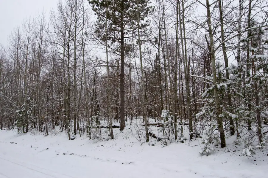 TBD Sheridan Woods Lane Ne, Outing, MN 56662 - #2