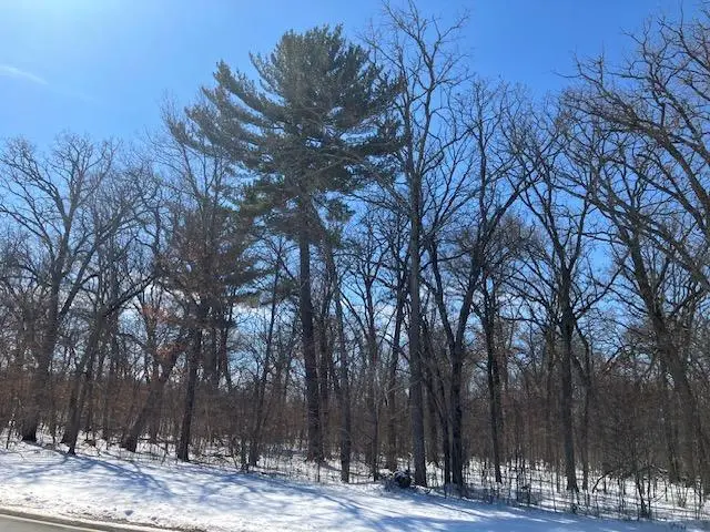 Lot 2 Sunrise Road, Sunrise, MN 55032 - #3