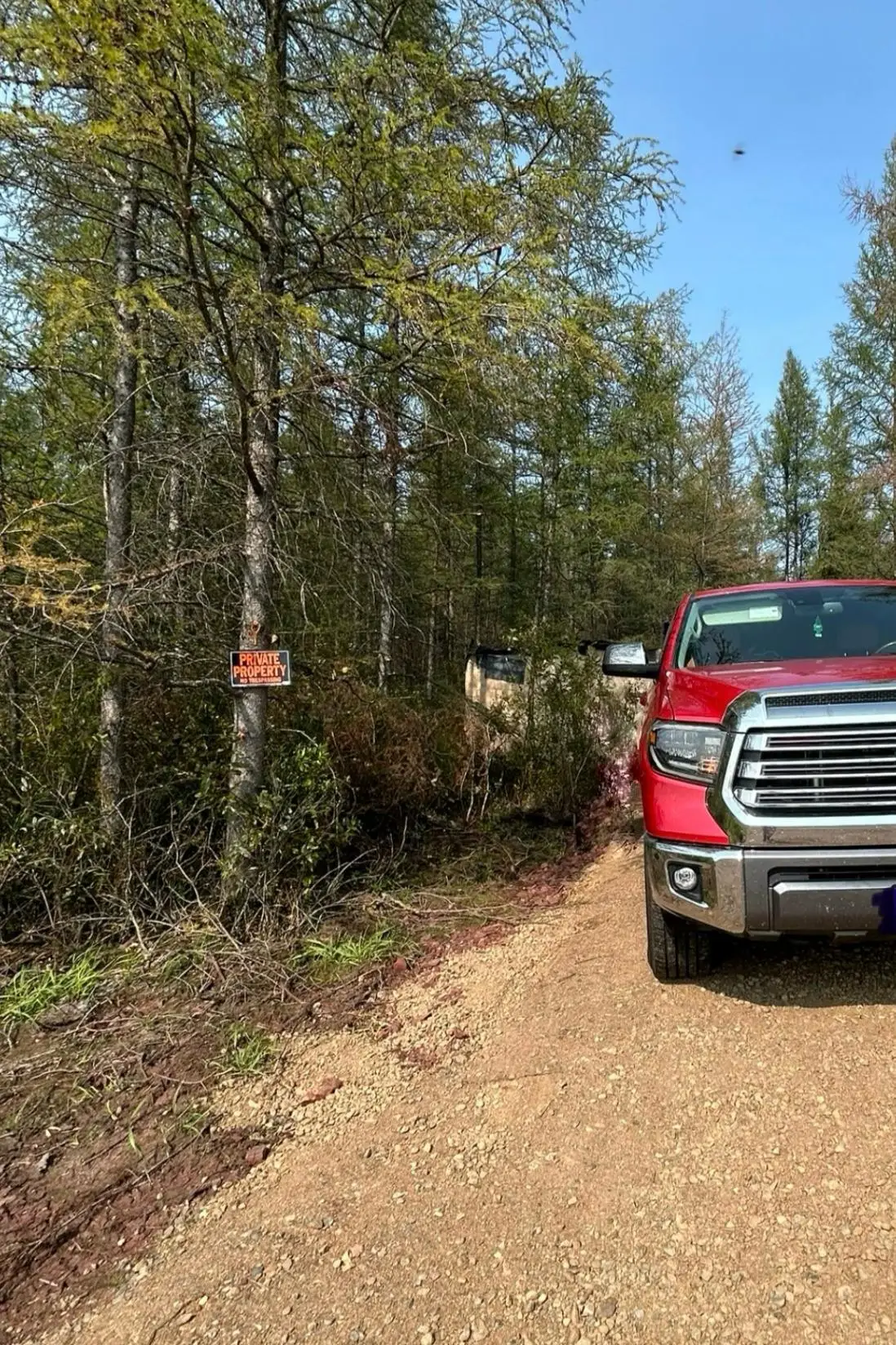 10179 W Town Line Road, Cherry, MN 55746 - #1