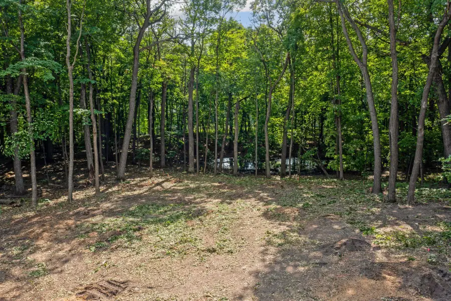 601 Fox Hill Drive, Chanhassen, MN 55317 - #2