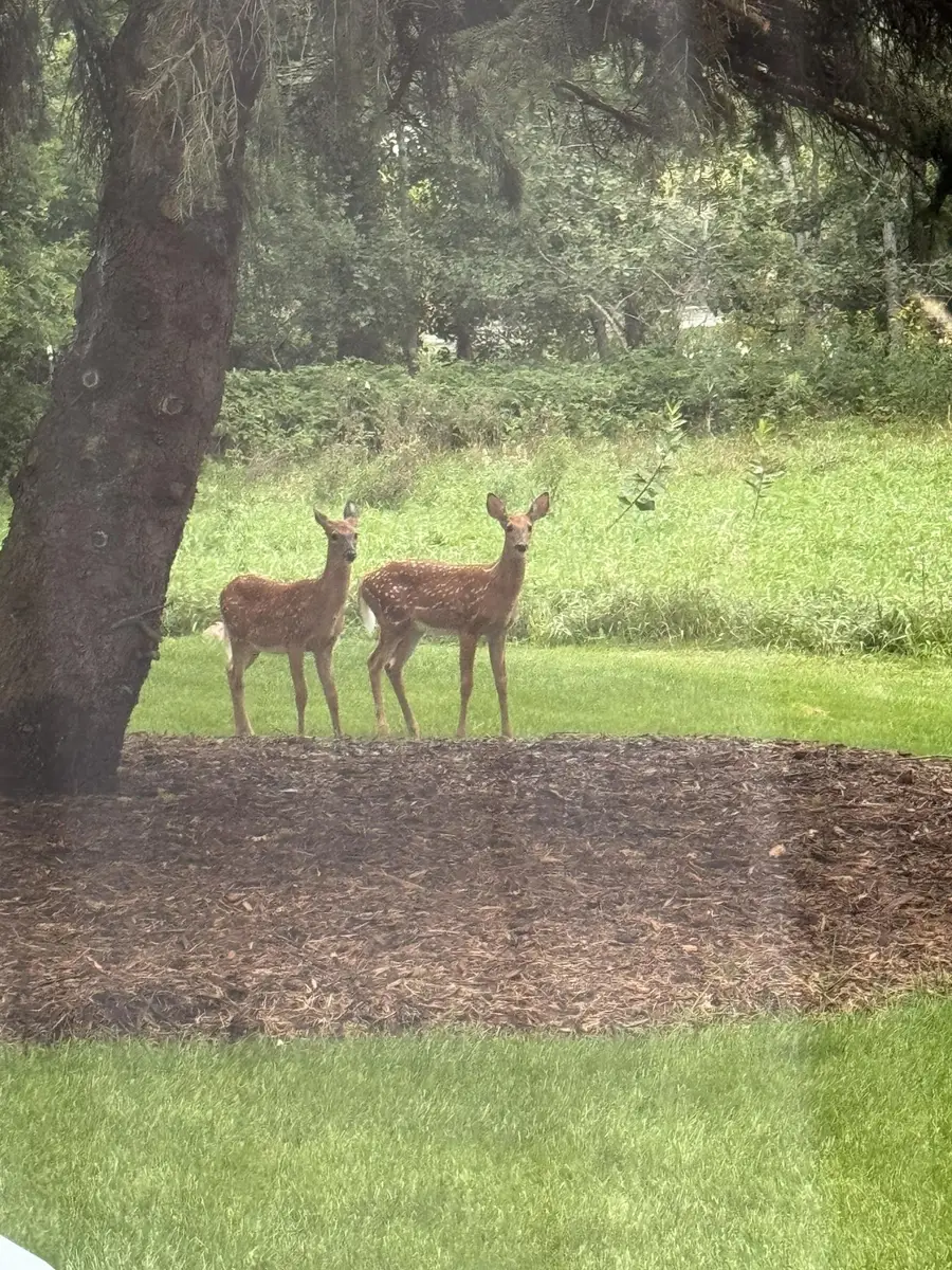 12189 Cottonwood Street Nw, Coon Rapids, MN 55448 - #2