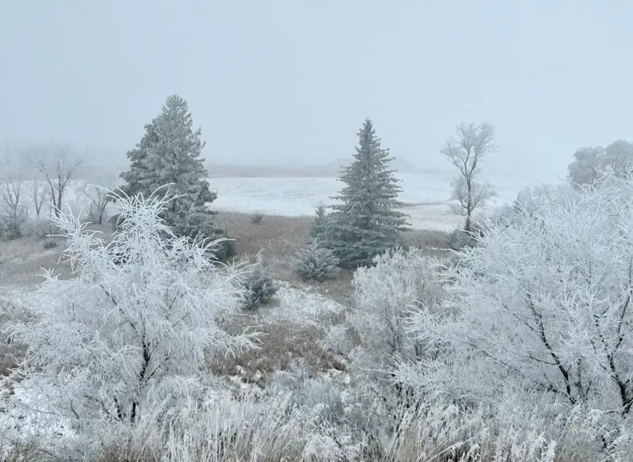 TBD Moore Street, Starbuck, MN 56381 - #3