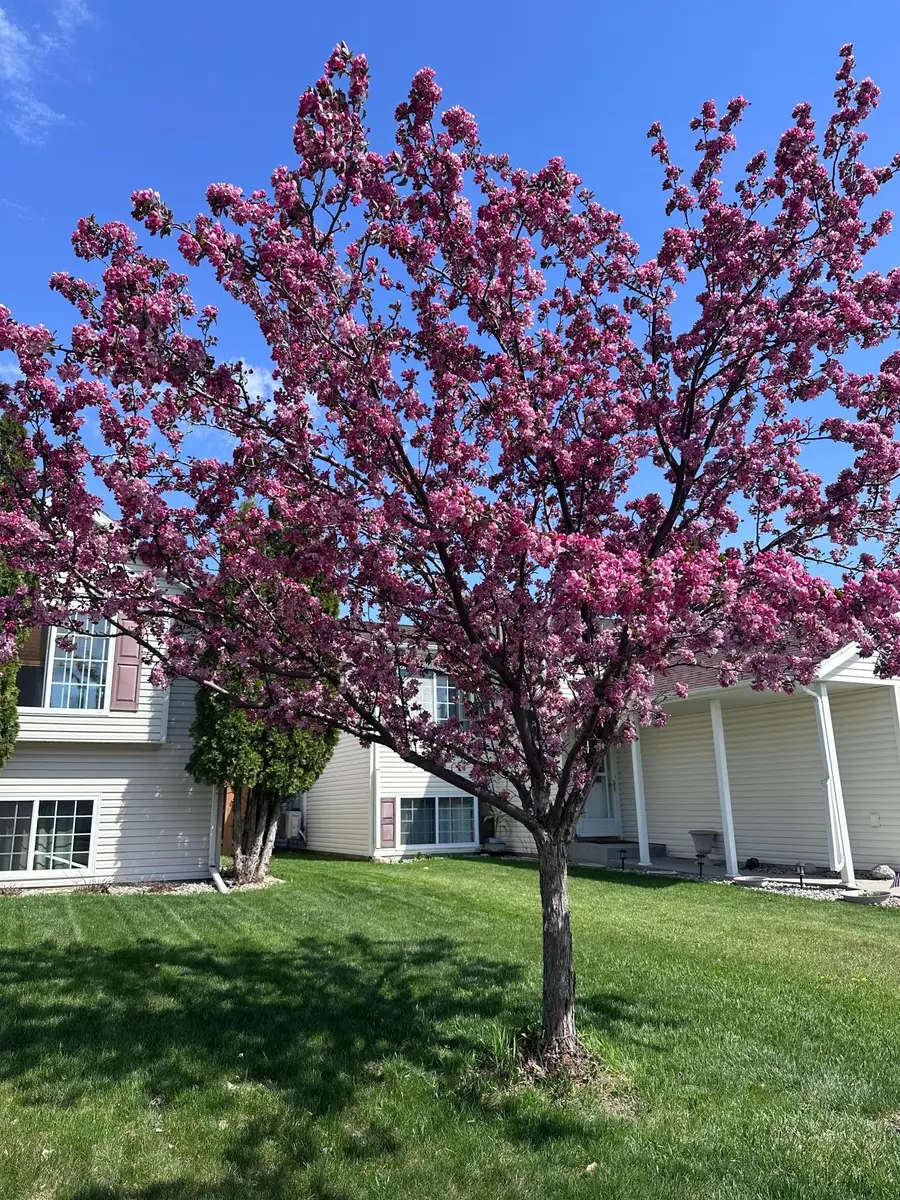 5980 24th Street S, Fargo, ND 58104 - #3