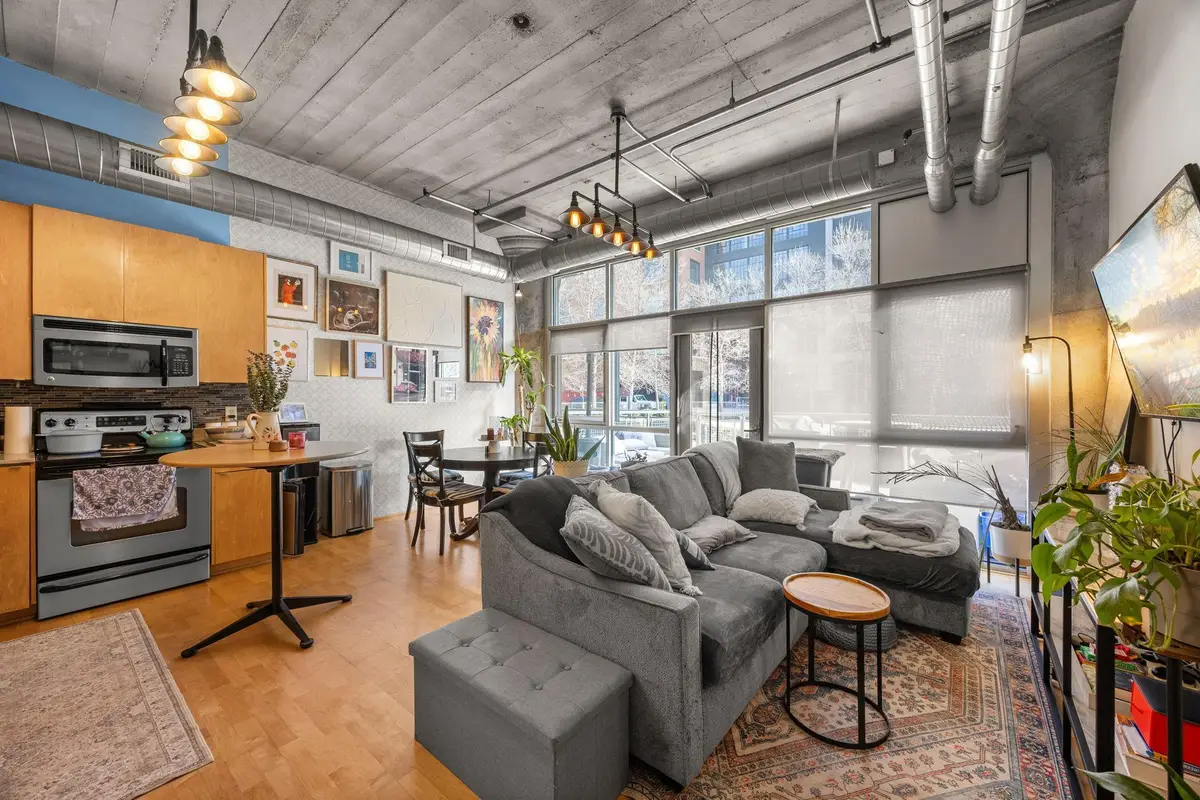 748 3rd Street N #105, Minneapolis, MN 55401 - #1