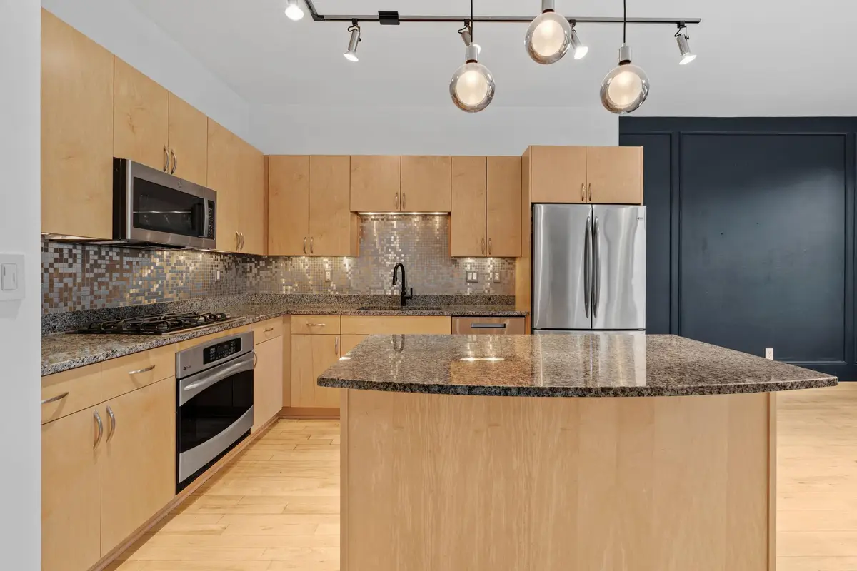 215 10th Avenue S #230, Minneapolis, MN 55415 - #1