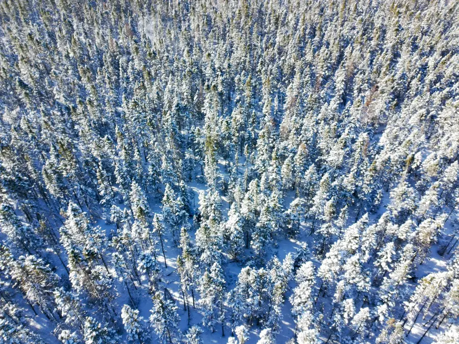 XXXX Highway 73, Cromwell, MN 55726 - #3