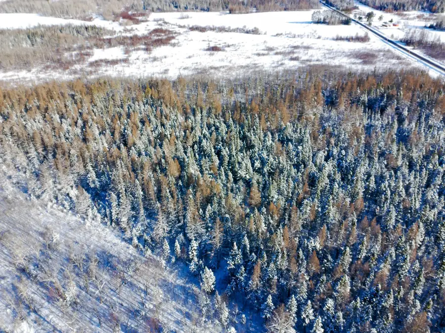 XXXX Hwy 73, Cromwell, MN 55726 - #3