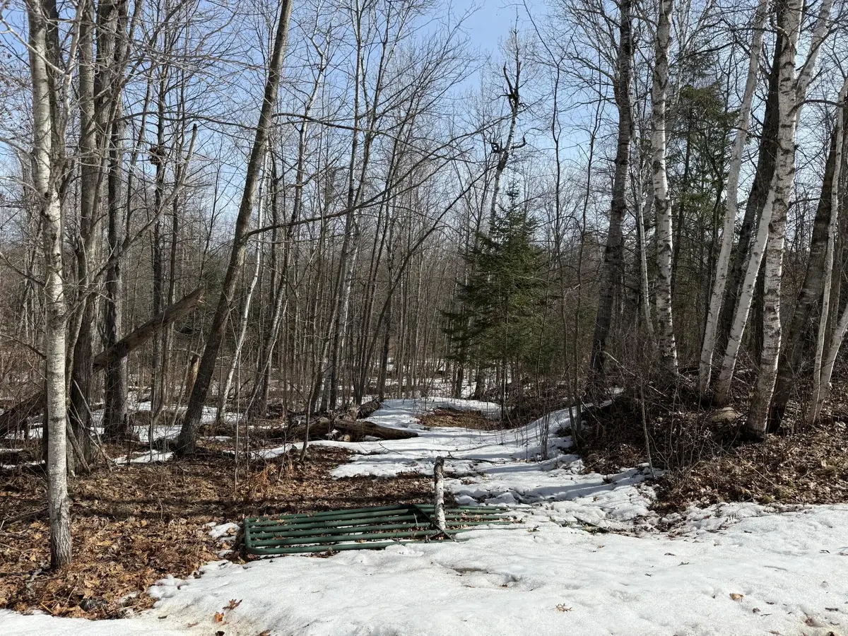 Lot 7 Block 1 Yellow Birch Ln, Emily, MN 56447 - #1
