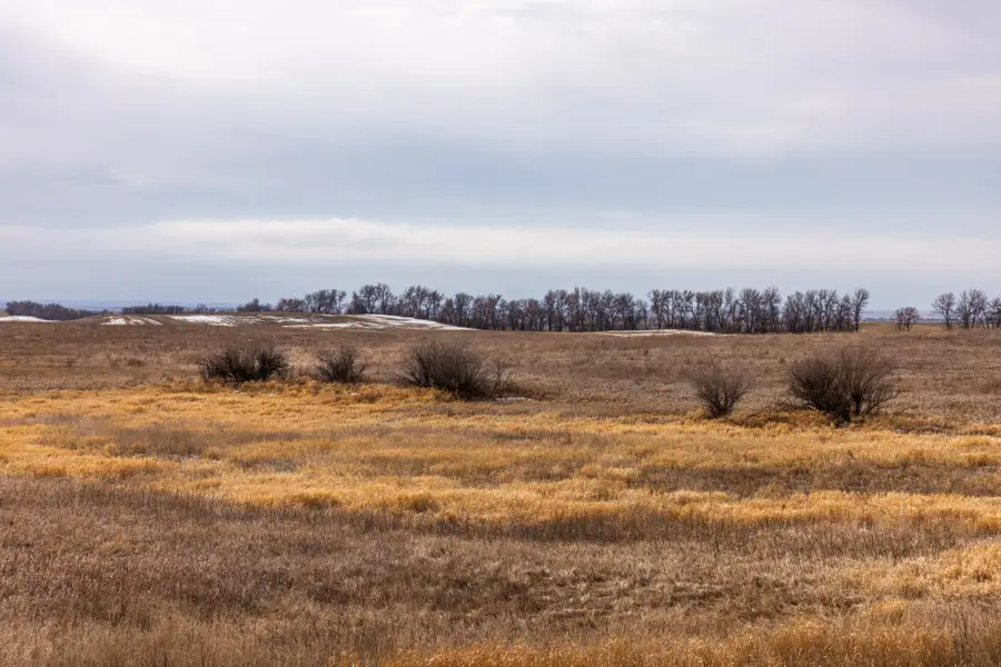 TBD 18 St Nw Parcel 4, Turtle Lake, ND 58575 - #2