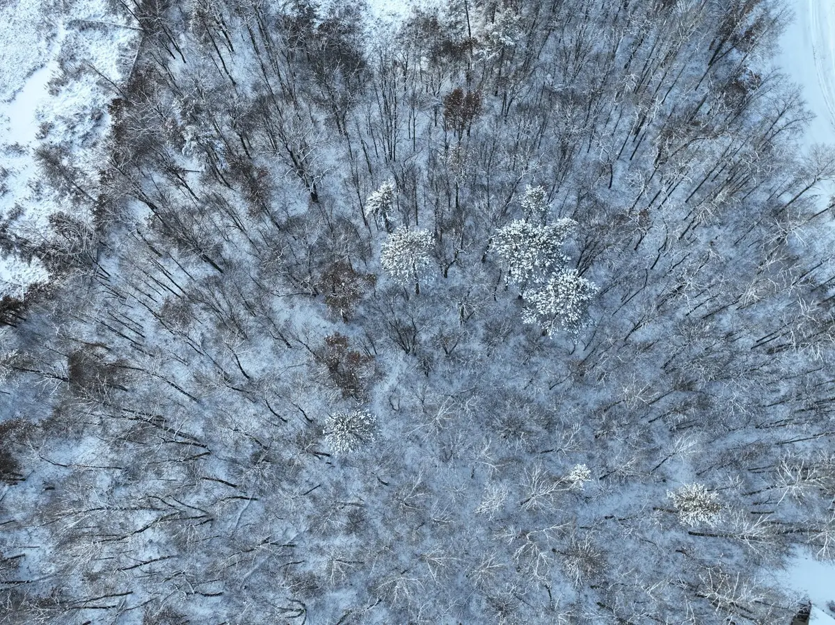 TBD Drake Circle, Pine River, MN 56474 - #1