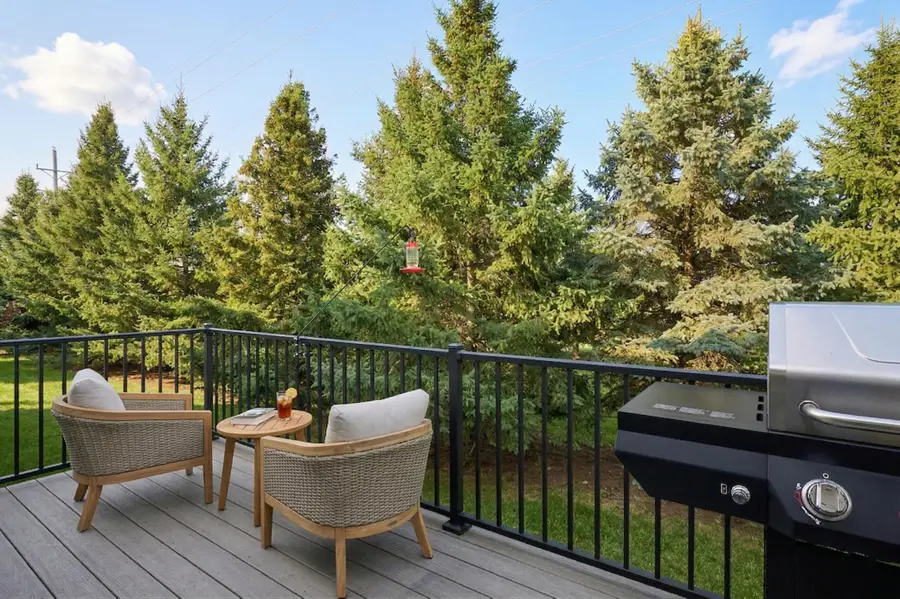 10106 Chestnut Circle N, Brooklyn Park, MN 55443 - #3