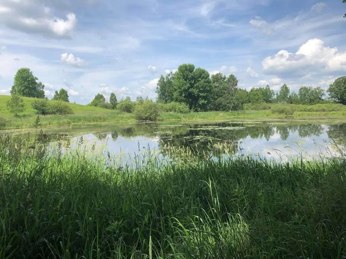 TBD Dixon Line Rd, Finlayson, MN 55735 - #1