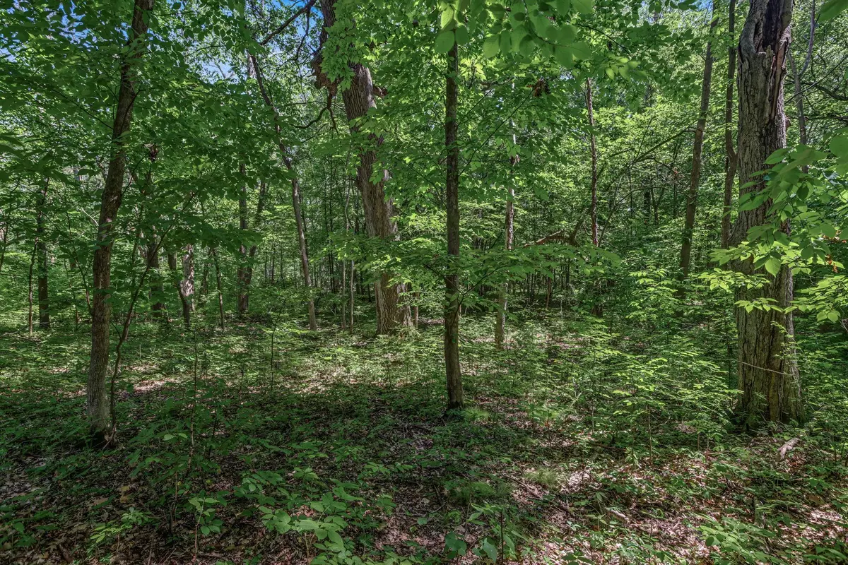 25xxx Itasca Avenue, Forest Lake, MN 55025 - #1