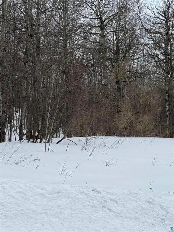 10xx Joshua Avenue, Duluth, MN 55811 - #2